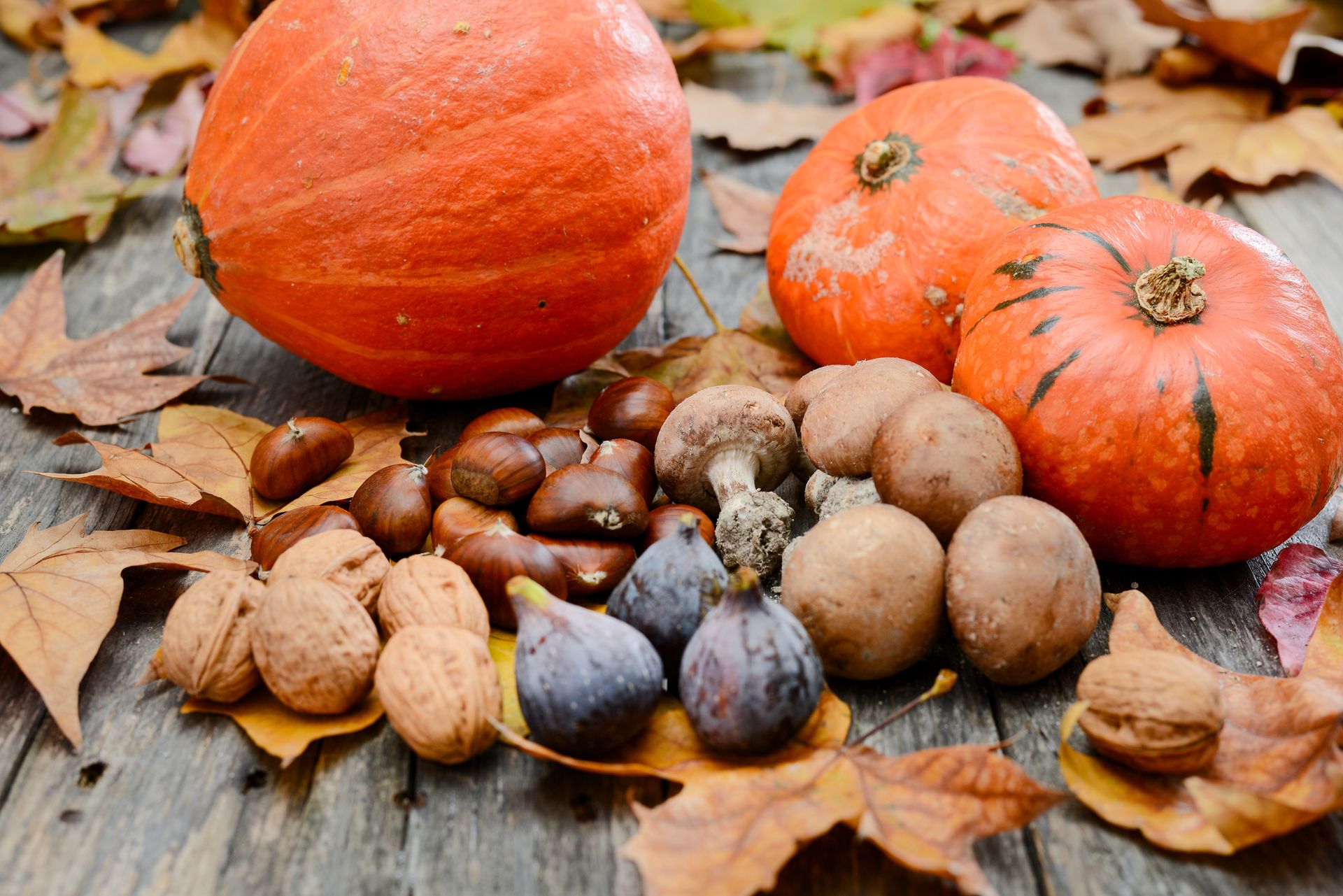 foto autunnale con zucca, noci, fichi e castagne